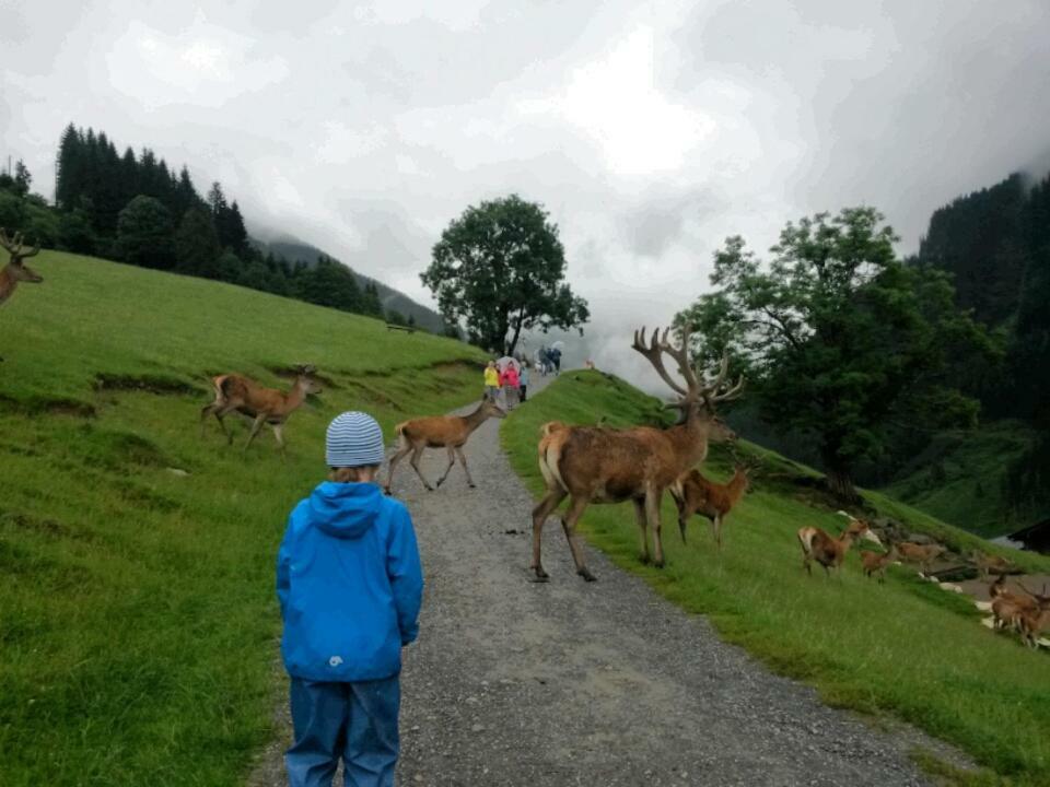 Appartementhaus Bad Salve Hopfgarten im Brixental Esterno foto